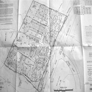 Sheppard Details
